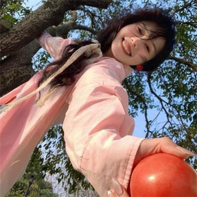 翼龙